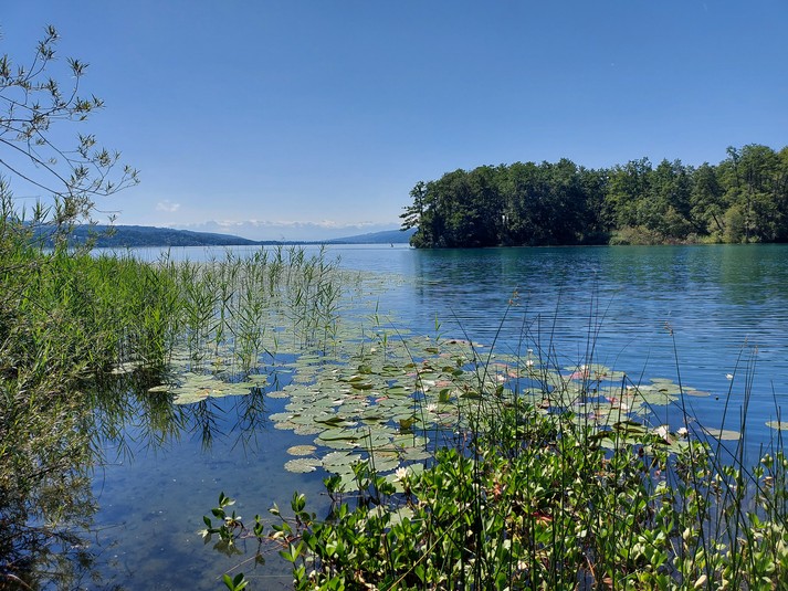 du lac de Hallwil en Argovie